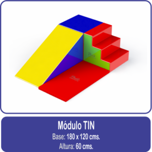 Módulo TIN estimulación temprana psicomotricidad