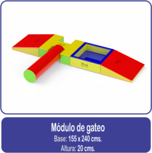 Módulo de gateo estimulación temprana psicomotricidad